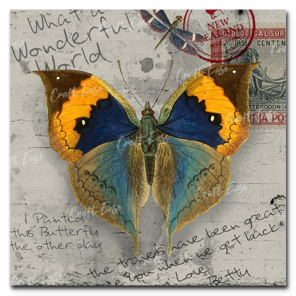 An image showing My Travels Butterfly Orange Blue Brown By David Loblaw