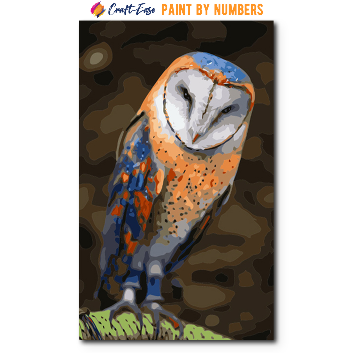 The Owl House Characters Paint By Numbers 