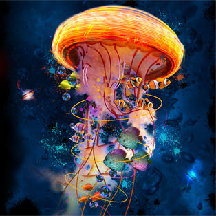 David Lob Law - Jellyfish Galaxy