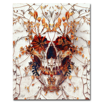 Pintura por números "Crânio Delicado" Craft-Ease™ (50 x 40 cm)