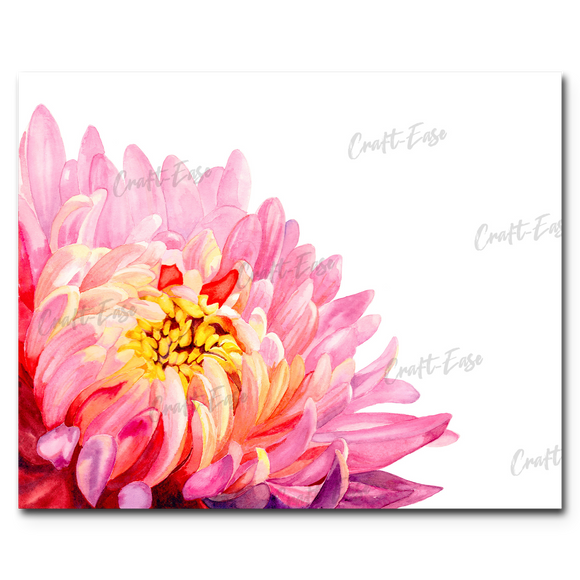An image showing Chrysanthemum Bloom By Marla Gill