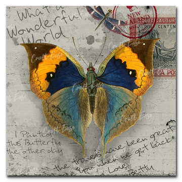 An image showing My Travels Butterfly Orange Blue Brown By David Loblaw