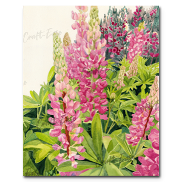 An image showing Lupins in the Field By Marla Gill
