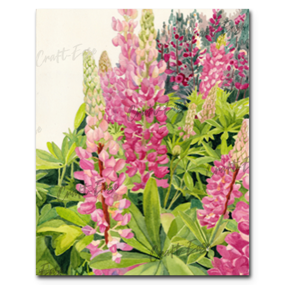An image showing Lupins in the Field By Marla Gill