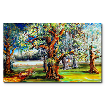 An image showing Oaks Along the Bayou By Diane Millsap